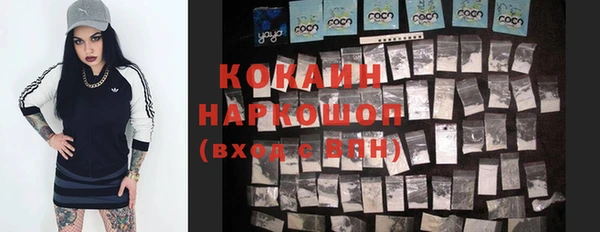 прущий лед Богданович