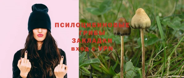 соль курить ск Богородск