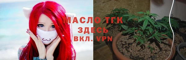 прущий лед Богданович