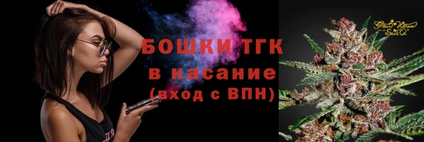 соль ск Богородицк