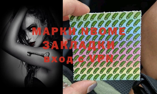 прущий лед Богданович