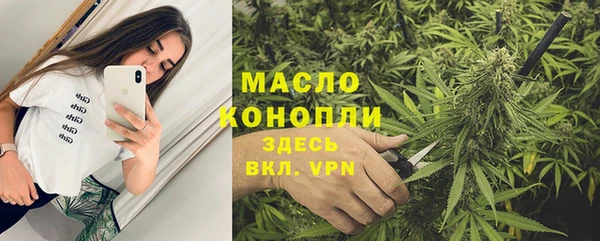 прущий лед Богданович