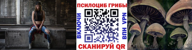 магазин продажи   Липецк  Псилоцибиновые грибы Cubensis 